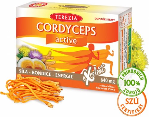 TEREZIA CORDYCEPS active cps 60 ks