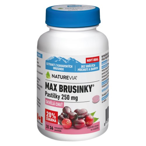 SWISS NATUREVIA MAX BRUSNICE 250 mg pastilky 36 ks