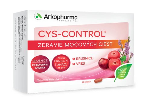 CYS-CONTROL cps 60 ks