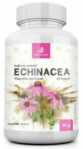Allnature Echinacea bylinný extrakt 60 cps